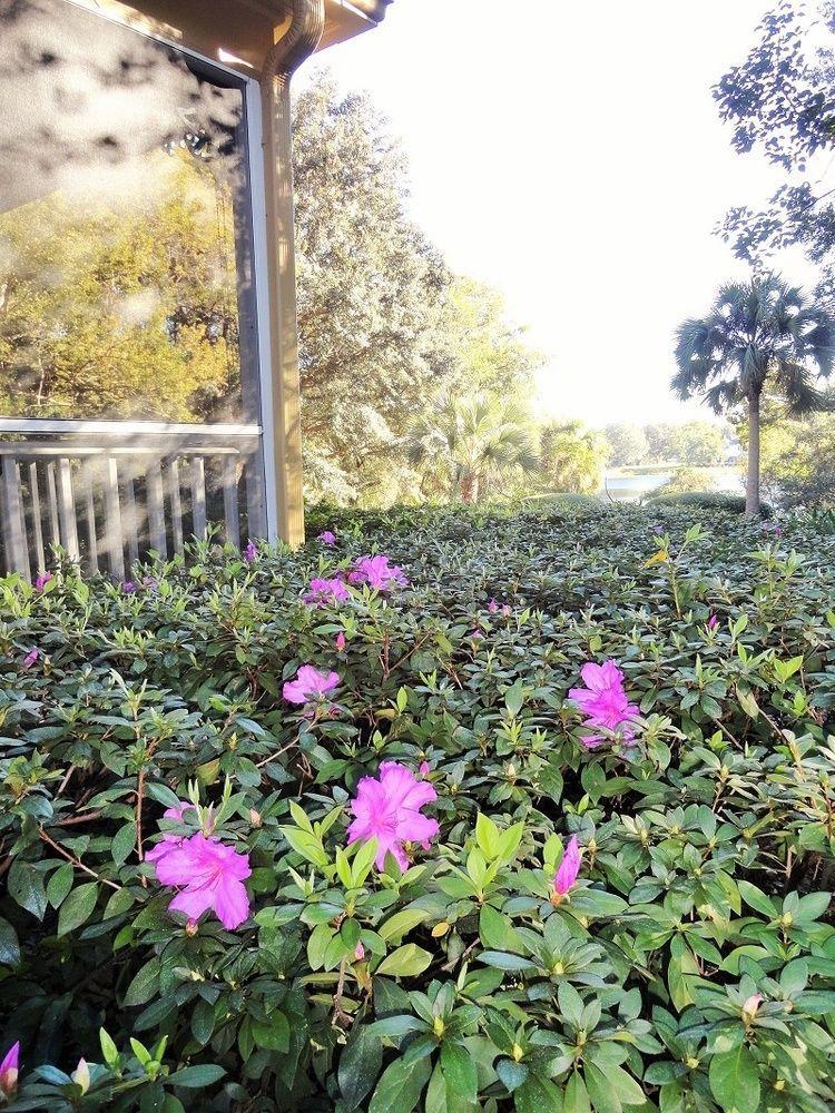 Thurston House Altamonte Springs Zewnętrze zdjęcie